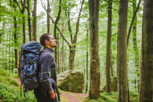 Actieve gezonde man wandelen in het prachtige bos — Stockfoto