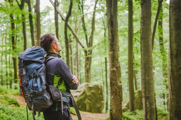 Actieve gezonde man wandelen in het prachtige bos — Stockfoto