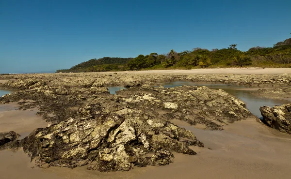 Piscine rocciose con bassa marea — Foto Stock