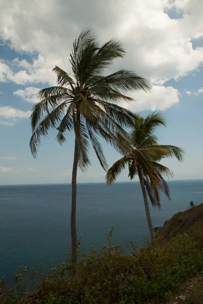 Vista de la naturaleza de Lombok, Indonesia . —  Fotos de Stock