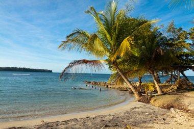 Panoramik Boca del toro Beach