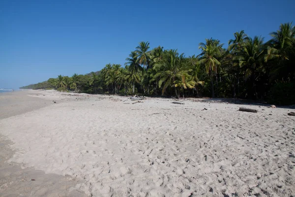 Vahşi doğal plaj Kosta Rika, Santa Teresa — Stok fotoğraf