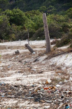 Vietnam bir plajda spontan çöplüğü