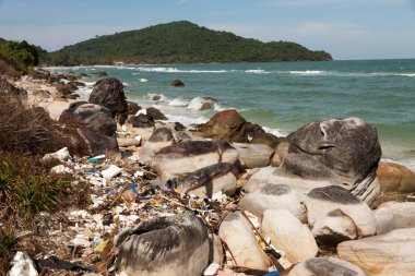Kirliliği: çöplükte, plastik ve atıkların beac üzerinde