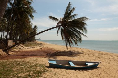 Güzel tropikal plaj