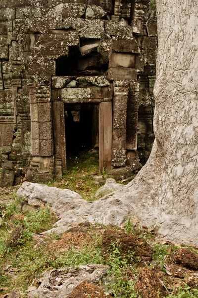 Templo Ankor Wat en Siem Reap —  Fotos de Stock