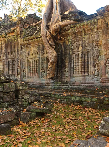 Templo Ankor Wat en Siem Reap — Foto de Stock