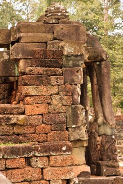 Ankor Wat fil taş yakın çekim