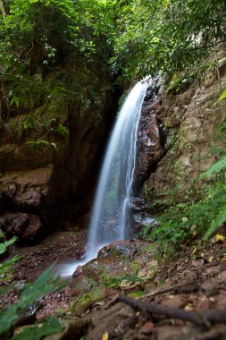 Muang Sing, Laos yakın şelale