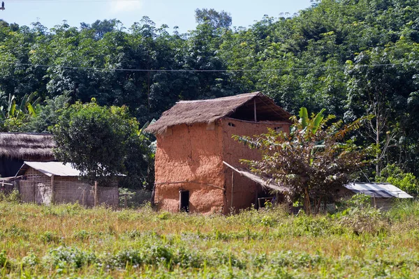 Almacenamiento de arroz y Tabaco en Laos . — Foto de Stock