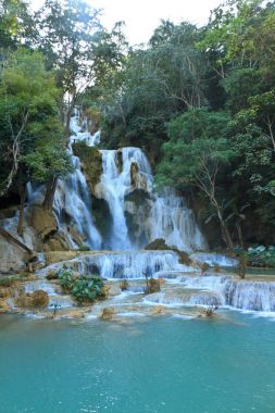 Kuang Si şelaleler Laos ormanda.