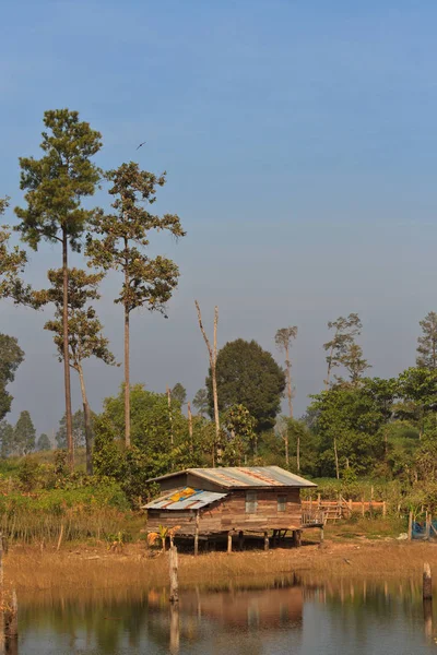 Alberi morti nel serbatoio con cielo blu - Thakhek Loop — Foto Stock