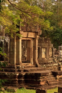 eski kalıntılar Angkor Wat