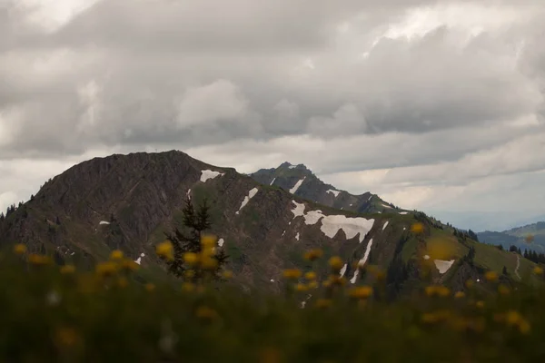 Wandern in den Alpen — Stockfoto