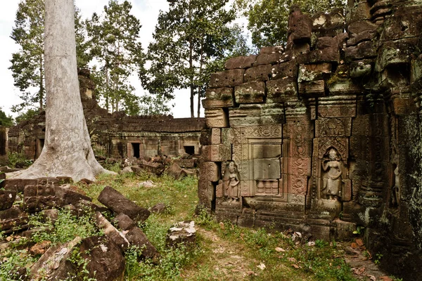 Ruinas antiguas Angkor Wat —  Fotos de Stock