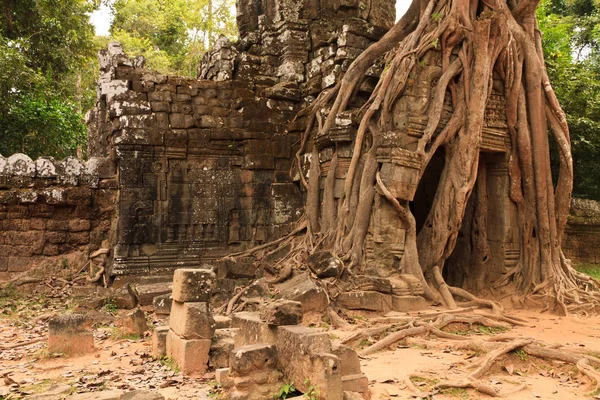 Ruinas antiguas Angkor Wat —  Fotos de Stock