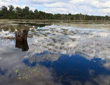 Göl Neak Stan yan yolda