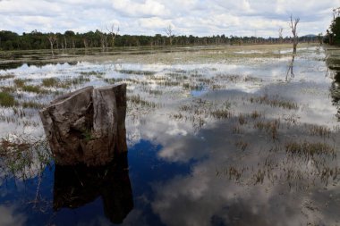 Göl Neak Stan yan yolda