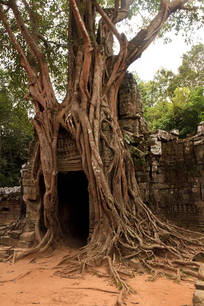 Templo Ta Som, Angkor, Camboya —  Fotos de Stock