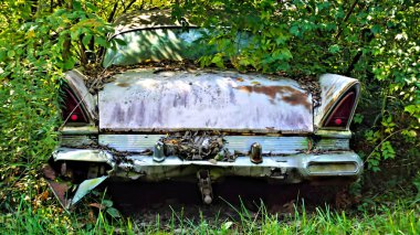 Eski bir araba son Resting yeri / büyümüş yeşillik içinde terk edilmiş bir araba.