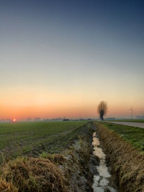 Bir alanın ağaçlarının silüetler ile üzerinde dramatik kırsal günbatımı