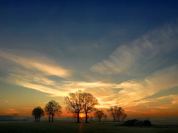 Puesta de sol entre siluetas de árboles — Foto de Stock
