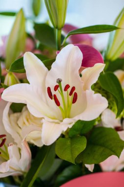 Pembe ve beyaz çiçekler çiçek süslemeleri