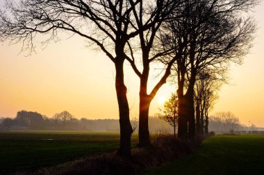 Puslu kırsal gündoğumu