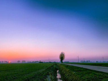 Renkli kırsal gündoğumu ağaçları ile