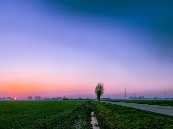 Colorido paisaje amanecer con árboles —  Fotos de Stock