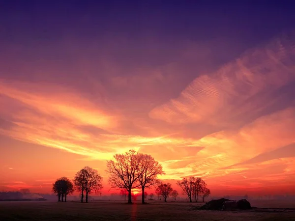 Renkli kırsal gündoğumu ağaçları ile