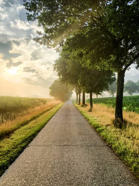 Puesta de sol en el cielo azul profundo sobre asfalto camino entre los campos y — Foto de Stock