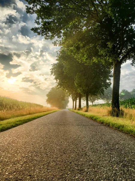 Coucher de soleil dans le ciel bleu profond sur la route asphaltée entre les champs et les arbres — Photo
