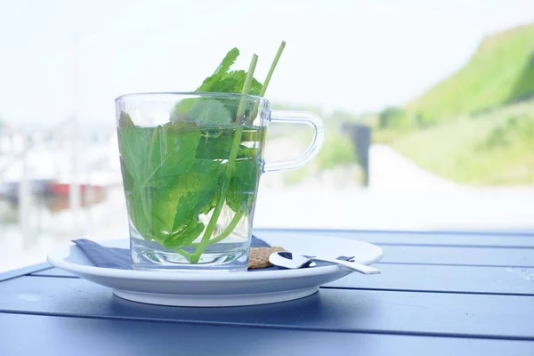 Chá de ervas verde com folhas de hortelã fresca — Fotografia de Stock