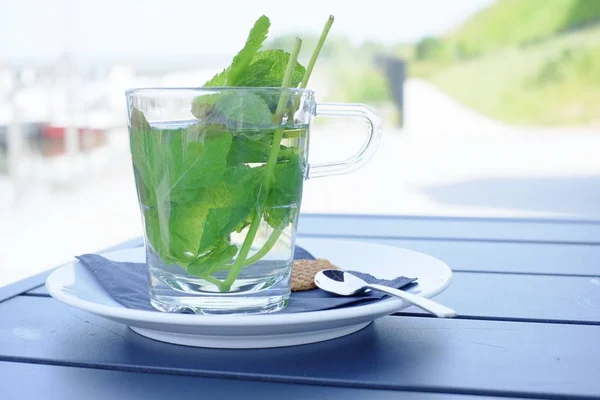 Chá de ervas verde com folhas de hortelã fresca — Fotografia de Stock