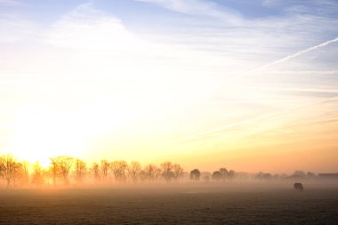 Kırsal üzerinde doğal dramatik gündoğumu gökyüzü