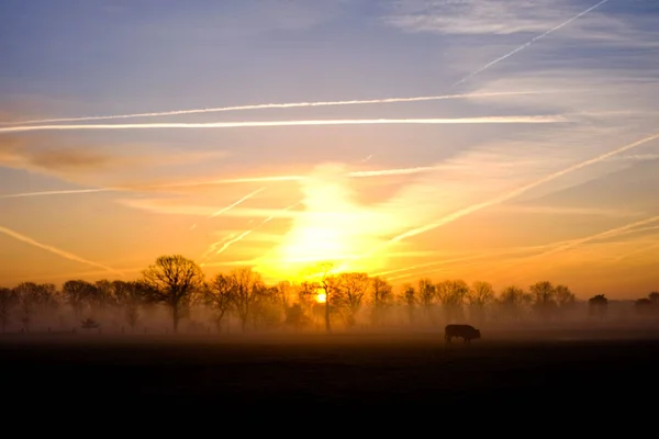 Cielo natural del amanecer dramático sobre el campo — Foto de Stock