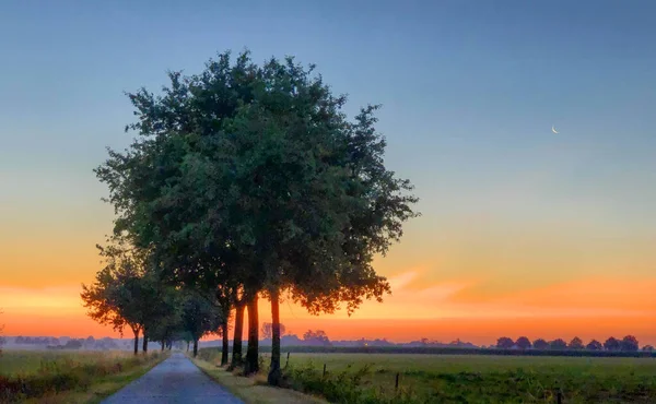 Alba splendente colorata — Foto Stock