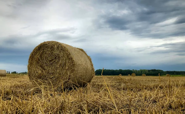 Summer storm looms over hay field in the Kempen area, Belgium — Stock Photo, Image