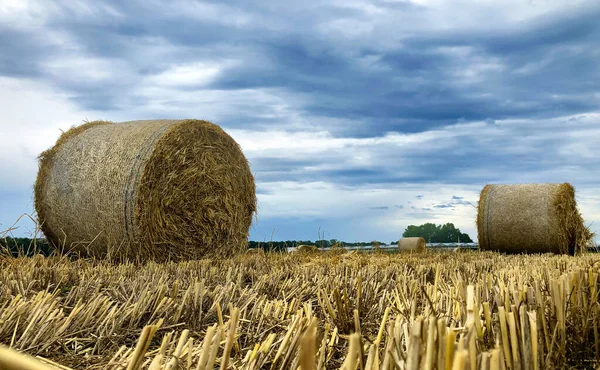 Zomerstorm doemt op boven hooiveld in Kempen, België — Stockfoto