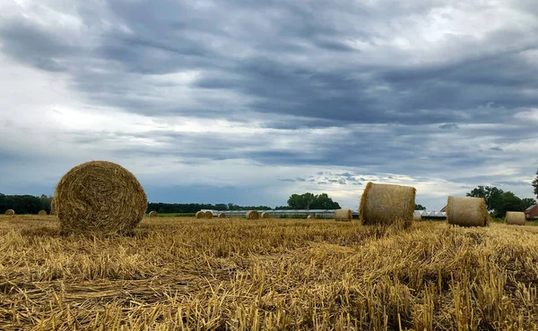 Summer storm looms over hay field in the Kempen area, Belgium — Stock Photo, Image