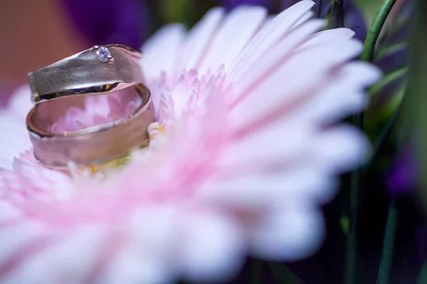 Anillos de boda sobre fondo gerberas rosadas — Foto de Stock