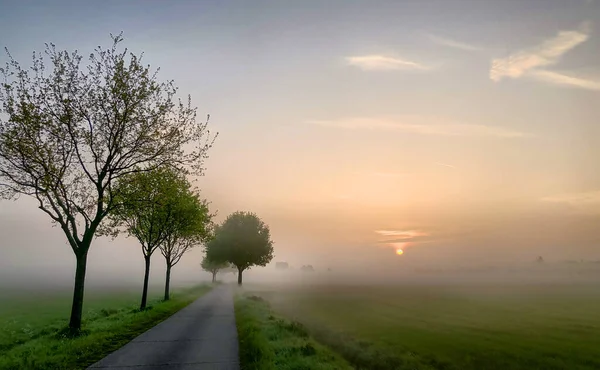 Zářící letní východ slunce krajina — Stock fotografie