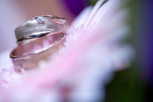 Anneaux de mariage sur fond de gerberas roses — Photo