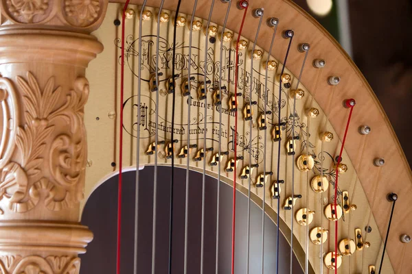 Güzel altın arp tellerinin ayrıntılarını kapat.