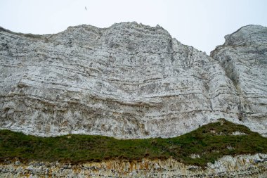 Fransa 'daki Etretat kayalıklarında puslu sabah sisi manzarası