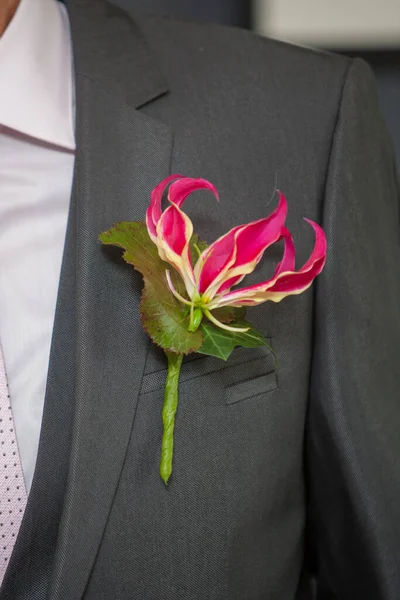 Розовая орхидея в костюме жениха — стоковое фото