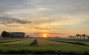 Dramatik ve renkli gün doğumu gökyüzü