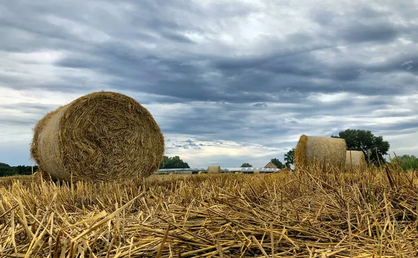Tormenta de verano se cierne sobre el campo de heno en el área de Kempen, Bélgica —  Fotos de Stock