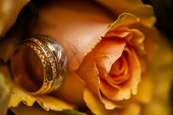 Обручальные кольца на фоне розовых роз — стоковое фото